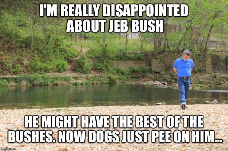 LOTS OF ROOM TO EXPOUND | I'M REALLY DISAPPOINTED ABOUT JEB BUSH HE MIGHT HAVE THE BEST OF THE BUSHES. NOW DOGS JUST PEE ON HIM... | image tagged in lots of room to expound | made w/ Imgflip meme maker