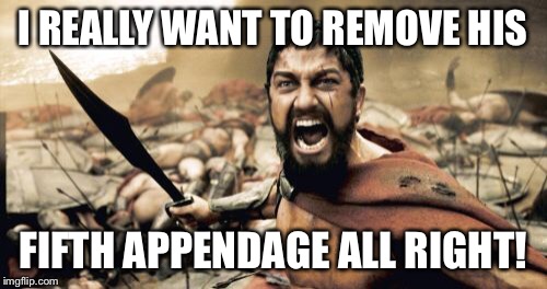 Sparta Leonidas Meme | I REALLY WANT TO REMOVE HIS FIFTH APPENDAGE ALL RIGHT! | image tagged in memes,sparta leonidas | made w/ Imgflip meme maker