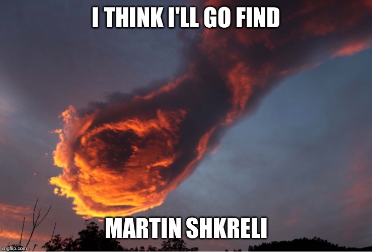 I THINK I'LL GO FIND MARTIN SHKRELI | image tagged in fist of god cloud | made w/ Imgflip meme maker