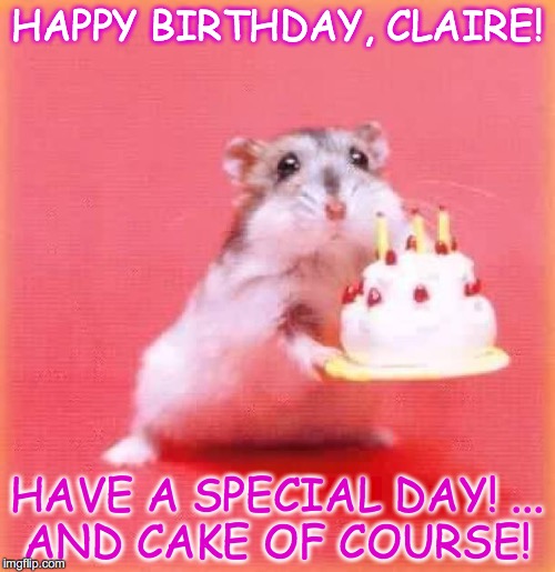 birthday hamster | HAPPY BIRTHDAY, CLAIRE! HAVE A SPECIAL DAY!
... AND CAKE OF COURSE! | image tagged in birthday hamster | made w/ Imgflip meme maker