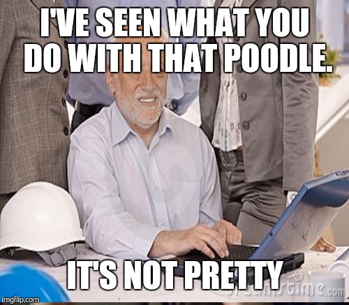 I'VE SEEN WHAT YOU DO WITH THAT POODLE. IT'S NOT PRETTY | made w/ Imgflip meme maker