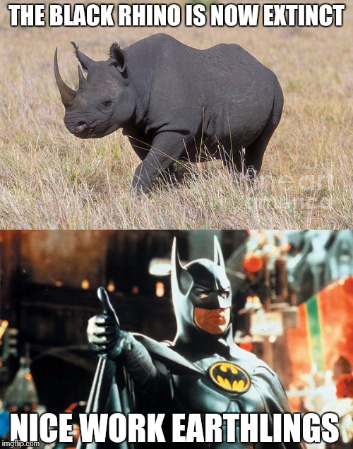 But hey, at least your living room looks nice | THE BLACK RHINO IS NOW EXTINCT; NICE WORK EARTHLINGS | image tagged in batman,rhino | made w/ Imgflip meme maker