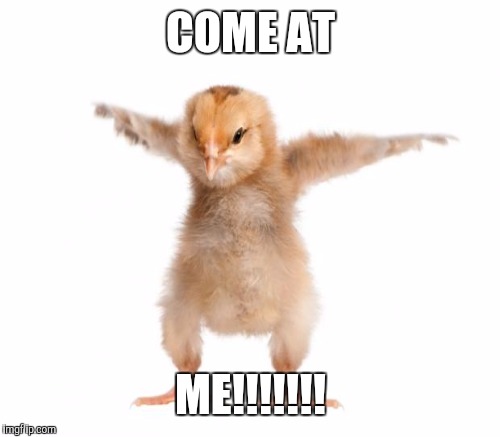 COME AT ME!!!!!!! | made w/ Imgflip meme maker