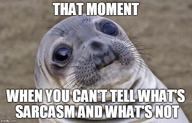 Awkward Moment Sealion Meme | THAT MOMENT; WHEN YOU CAN'T TELL WHAT'S SARCASM AND WHAT'S NOT | image tagged in memes,awkward moment sealion | made w/ Imgflip meme maker