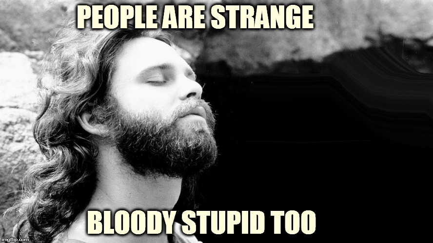 PEOPLE ARE STRANGE; BLOODY STUPID TOO | image tagged in jim | made w/ Imgflip meme maker