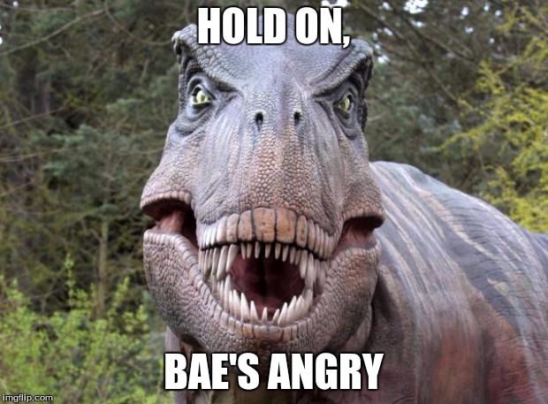Hold on, Bae's Angry | HOLD ON, BAE'S ANGRY | image tagged in hold on,bae's angry | made w/ Imgflip meme maker