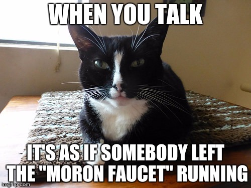 bullshit cat | WHEN YOU TALK; IT'S AS IF SOMEBODY LEFT THE "MORON FAUCET" RUNNING | image tagged in bullshit cat,dumb,moron,i hate you,cat | made w/ Imgflip meme maker