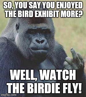 gorilla vs. bird | SO, YOU SAY YOU ENJOYED THE BIRD EXHIBIT MORE? WELL, WATCH THE BIRDIE FLY! | image tagged in gorilla vs bird | made w/ Imgflip meme maker