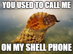 YOU USED TO CALL ME; ON MY SHELL PHONE | image tagged in scumbag | made w/ Imgflip meme maker