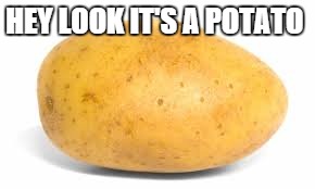 HEY LOOK IT'S A POTATO | made w/ Imgflip meme maker