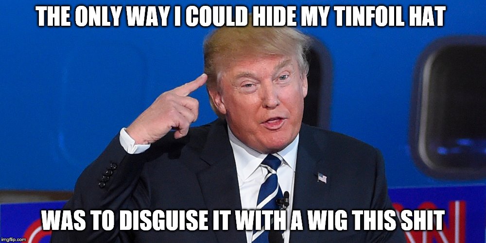 Donald Trump | THE ONLY WAY I COULD HIDE MY TINFOIL HAT; WAS TO DISGUISE IT WITH A WIG THIS SHIT | image tagged in donald trump | made w/ Imgflip meme maker