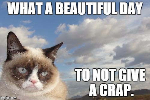 Grumpy Cat Sky | WHAT A BEAUTIFUL DAY; TO NOT GIVE A CRAP. | image tagged in memes,grumpy cat sky,grumpy cat | made w/ Imgflip meme maker