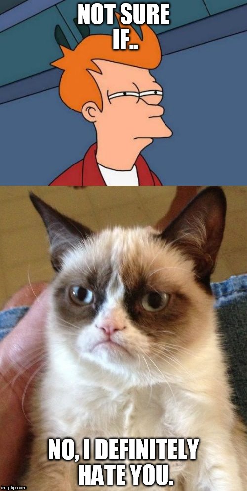 Grumpy Futurama Cat | NOT SURE IF.. NO, I DEFINITELY HATE YOU. | image tagged in memes,grumpy cat,futurama fry | made w/ Imgflip meme maker