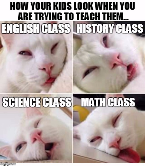 School Cat | HOW YOUR KIDS LOOK WHEN YOU ARE TRYING TO TEACH THEM... | image tagged in memes | made w/ Imgflip meme maker