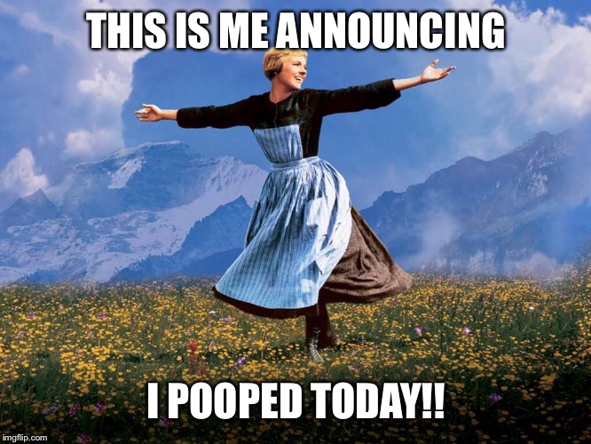 Maria Sound of Music | THIS IS ME ANNOUNCING; I POOPED TODAY!! | image tagged in maria sound of music | made w/ Imgflip meme maker
