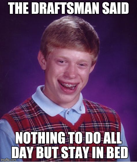 Bad Luck Brian Meme | THE DRAFTSMAN SAID NOTHING TO DO ALL DAY BUT STAY IN BED | image tagged in memes,bad luck brian | made w/ Imgflip meme maker