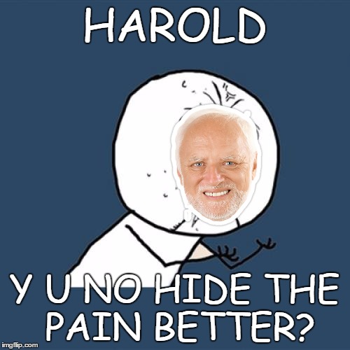 Y U No Meme | HAROLD Y U NO HIDE THE PAIN BETTER? | image tagged in memes,y u no | made w/ Imgflip meme maker