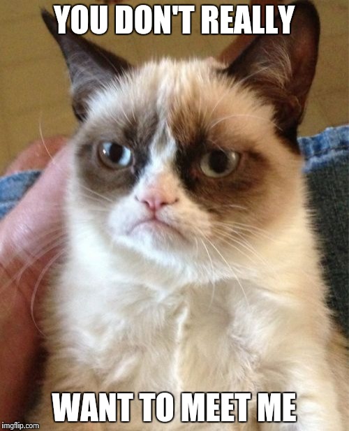 Grumpy Cat Meme | YOU DON'T REALLY WANT TO MEET ME | image tagged in memes,grumpy cat | made w/ Imgflip meme maker