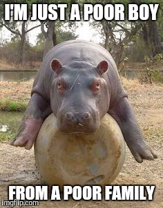 Happy hippo | I'M JUST A POOR BOY FROM A POOR FAMILY | image tagged in happy hippo | made w/ Imgflip meme maker