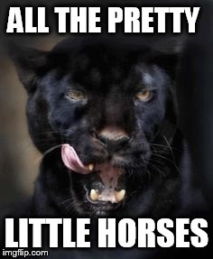 Hungry Panther | ALL THE PRETTY; LITTLE HORSES | image tagged in hungry panther | made w/ Imgflip meme maker