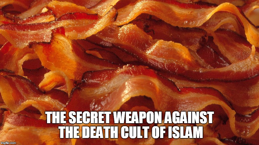 THE SECRET WEAPON AGAINST THE DEATH CULT OF ISLAM | image tagged in memes | made w/ Imgflip meme maker