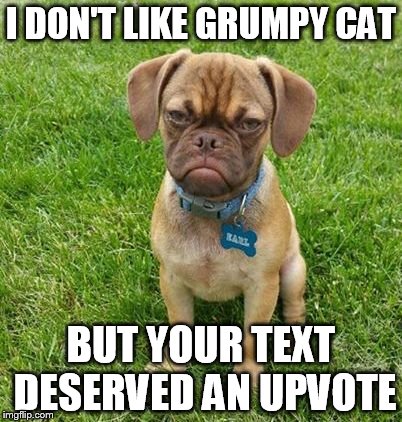 I DON'T LIKE GRUMPY CAT BUT YOUR TEXT DESERVED AN UPVOTE | made w/ Imgflip meme maker