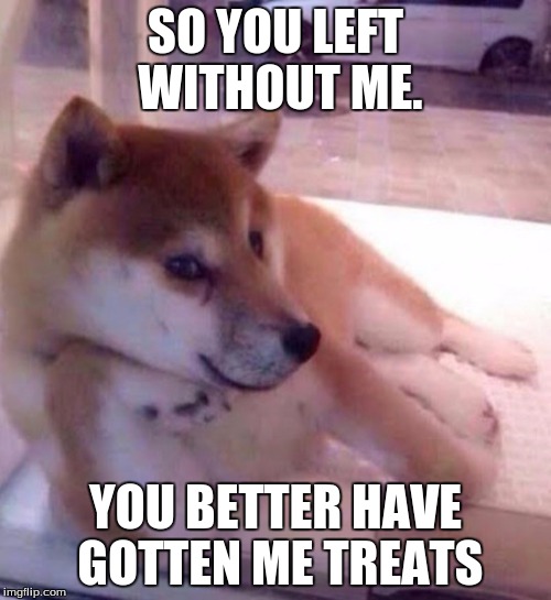 SO YOU LEFT WITHOUT ME. YOU BETTER HAVE GOTTEN ME TREATS | image tagged in we need to talk dog | made w/ Imgflip meme maker