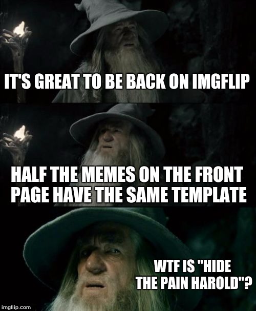 You never expect what'll become popular | IT'S GREAT TO BE BACK ON IMGFLIP; HALF THE MEMES ON THE FRONT PAGE HAVE THE SAME TEMPLATE; WTF IS "HIDE THE PAIN HAROLD"? | image tagged in memes,confused gandalf | made w/ Imgflip meme maker