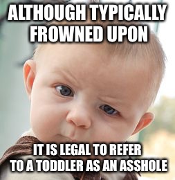 Just sayin'... | ALTHOUGH TYPICALLY FROWNED UPON; IT IS LEGAL TO REFER TO A TODDLER AS AN ASSHOLE | image tagged in memes,skeptical baby,asshole,this just in | made w/ Imgflip meme maker