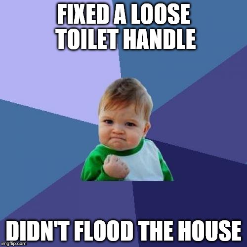 Thanks YouTube! | FIXED A LOOSE TOILET HANDLE; DIDN'T FLOOD THE HOUSE | image tagged in memes,success kid,diy | made w/ Imgflip meme maker