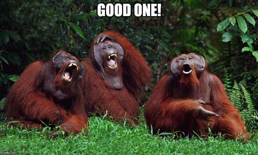 laughing orangutans | GOOD ONE! | image tagged in laughing orangutans | made w/ Imgflip meme maker