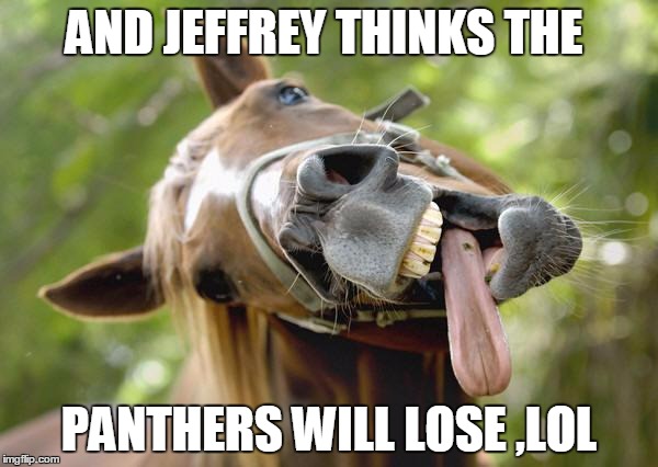 horsessuck | AND JEFFREY THINKS THE; PANTHERS WILL LOSE ,LOL | image tagged in horsessuck | made w/ Imgflip meme maker