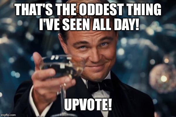 Leonardo Dicaprio Cheers Meme | THAT'S THE ODDEST THING I'VE SEEN ALL DAY! UPVOTE! | image tagged in memes,leonardo dicaprio cheers | made w/ Imgflip meme maker