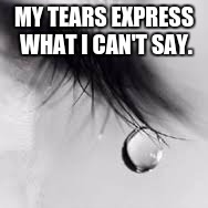 Depression Quotes | MY TEARS EXPRESS WHAT I CAN'T SAY. | image tagged in depression quotes | made w/ Imgflip meme maker