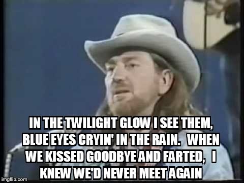 A 4 year old;  Artfully Butchering Lyrics | image tagged in country  western,willie nelson | made w/ Imgflip meme maker