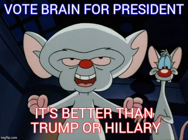 Pinky and the Brain |  VOTE BRAIN FOR PRESIDENT; IT'S BETTER THAN TRUMP OR HILLARY | image tagged in pinky and the brain | made w/ Imgflip meme maker