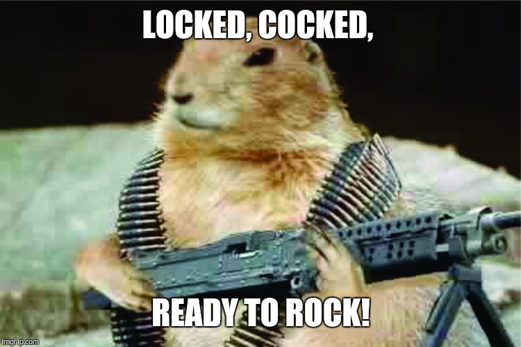 LOCKED, COCKED, READY TO ROCK! | made w/ Imgflip meme maker