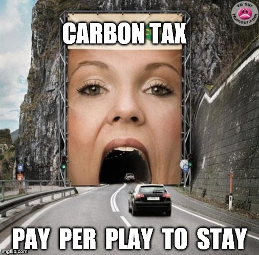 Counting Carbs | CARBON TAX; PAY  PER  PLAY  TO  STAY | image tagged in the tunnel,counting carbs,carbon tax | made w/ Imgflip meme maker