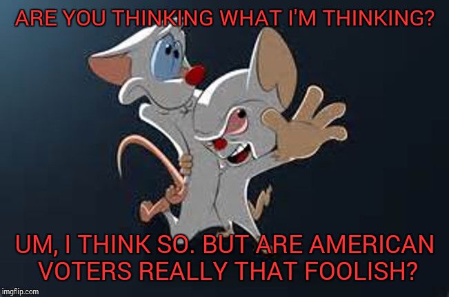Brain decides to run for president | ARE YOU THINKING WHAT I'M THINKING? UM, I THINK SO. BUT ARE AMERICAN VOTERS REALLY THAT FOOLISH? | image tagged in pinky and the brain | made w/ Imgflip meme maker