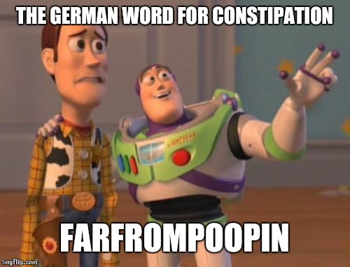 X, X Everywhere Meme | THE GERMAN WORD FOR CONSTIPATION; FARFROMPOOPIN | image tagged in memes,x x everywhere | made w/ Imgflip meme maker