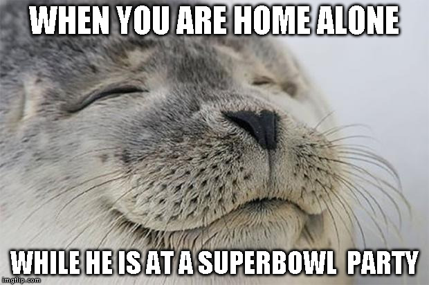 Satisfied Seal | WHEN YOU ARE HOME ALONE; WHILE HE IS AT A SUPERBOWL  PARTY | image tagged in memes,satisfied seal | made w/ Imgflip meme maker