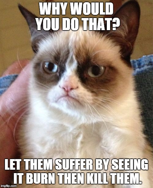 Grumpy Cat Meme | WHY WOULD YOU DO THAT? LET THEM SUFFER BY SEEING IT BURN THEN KILL THEM. | image tagged in memes,grumpy cat | made w/ Imgflip meme maker