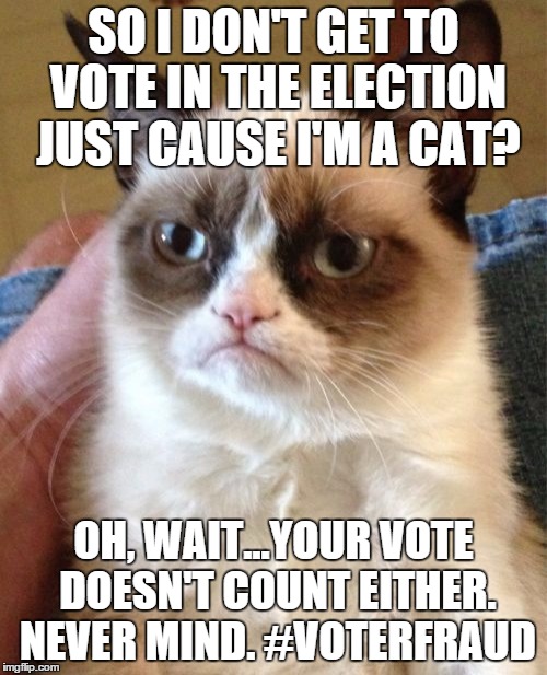 Grumpy Cat Meme | SO I DON'T GET TO VOTE IN THE ELECTION JUST CAUSE I'M A CAT? OH, WAIT...YOUR VOTE DOESN'T COUNT EITHER. NEVER MIND. #VOTERFRAUD | image tagged in memes,grumpy cat | made w/ Imgflip meme maker