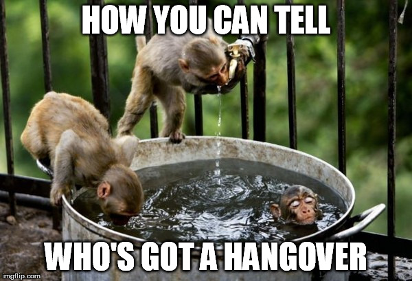 Thirsty hangover HOW YOU CAN TELL; WHO'S GOT A HANGOVER image tagged i...