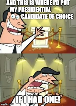 who to choose, who to choose. | AND THIS IS WHERE I'D PUT MY PRESIDENTIAL                                CANDIDATE OF CHOICE; IF I HAD ONE! | image tagged in memes,this is where i'd put my trophy if i had one | made w/ Imgflip meme maker