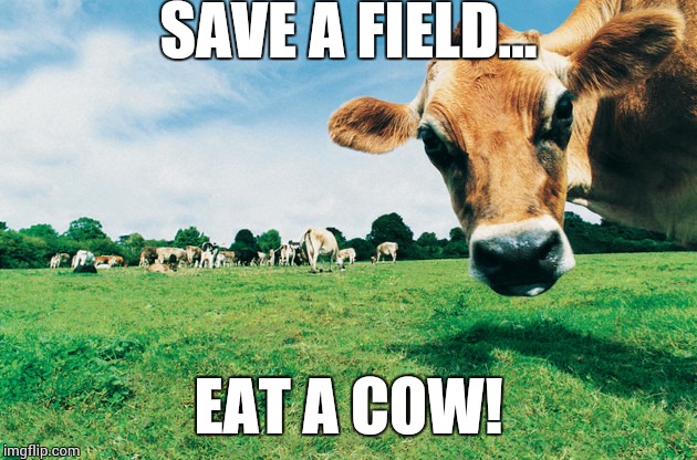 SAVE A FIELD... EAT A COW! | image tagged in savafield | made w/ Imgflip meme maker