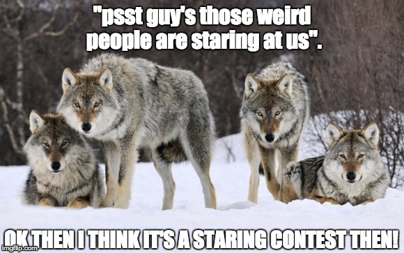 "psst guy's those weird people are staring at us". OK THEN I THINK IT'S A STARING CONTEST THEN! | image tagged in stare | made w/ Imgflip meme maker
