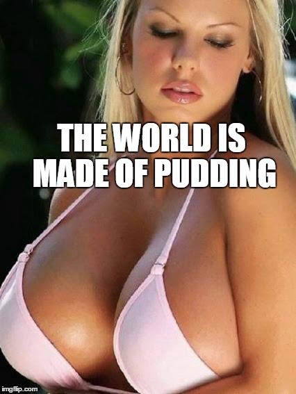 THE WORLD IS MADE OF PUDDING | made w/ Imgflip meme maker