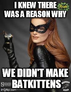 I KNEW THERE WAS A REASON WHY WE DIDN'T MAKE BATKITTENS | made w/ Imgflip meme maker