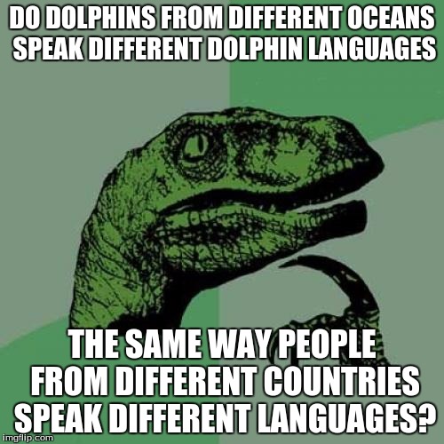 Philosoraptor Meme | DO DOLPHINS FROM DIFFERENT OCEANS SPEAK DIFFERENT DOLPHIN LANGUAGES; THE SAME WAY PEOPLE FROM DIFFERENT COUNTRIES SPEAK DIFFERENT LANGUAGES? | image tagged in memes,philosoraptor | made w/ Imgflip meme maker